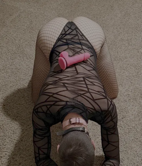 Can you help me figure out where this goes?