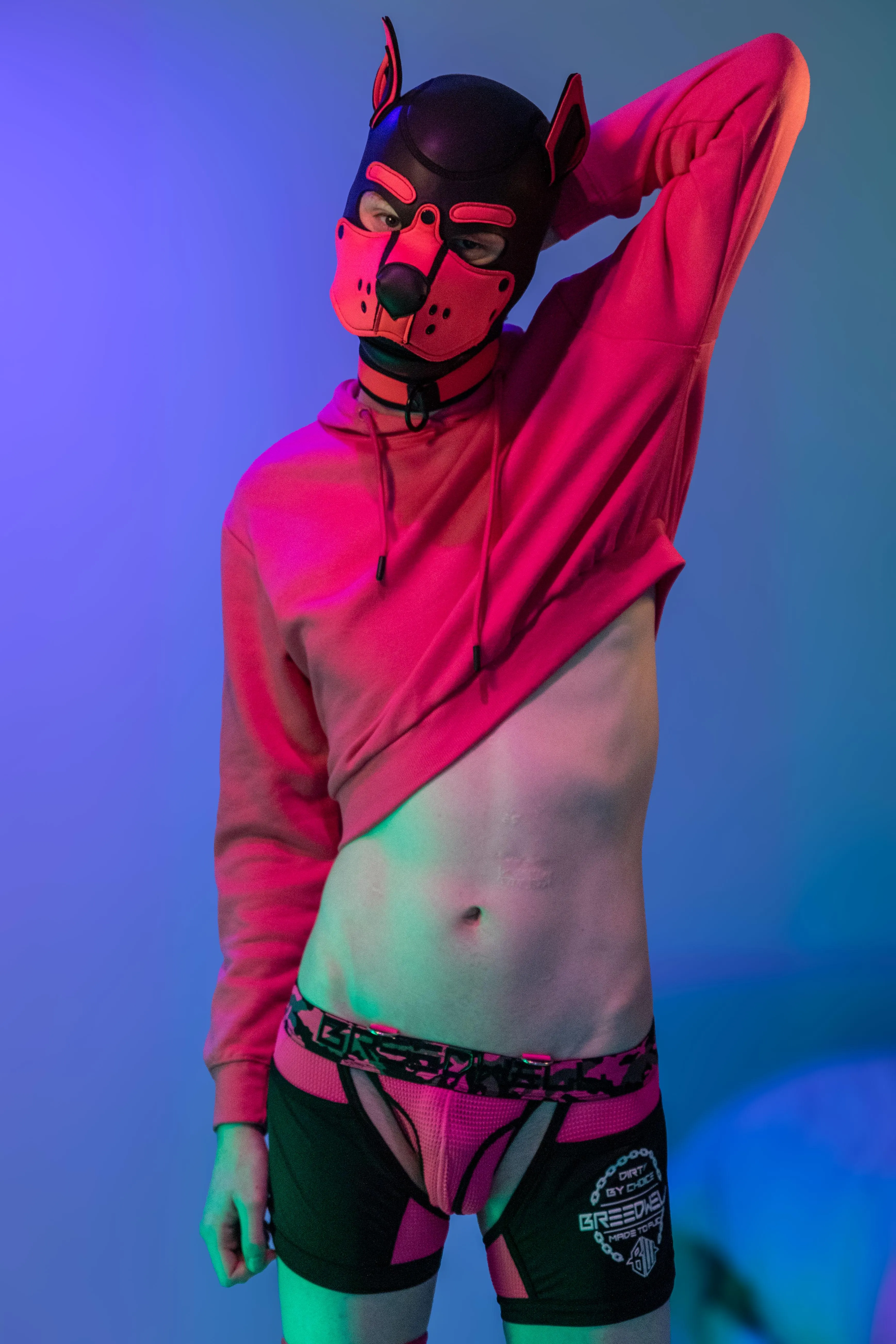 Another dumb puppy pic :3