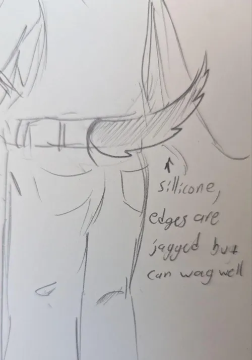 Does anyone know this kind of Tail?