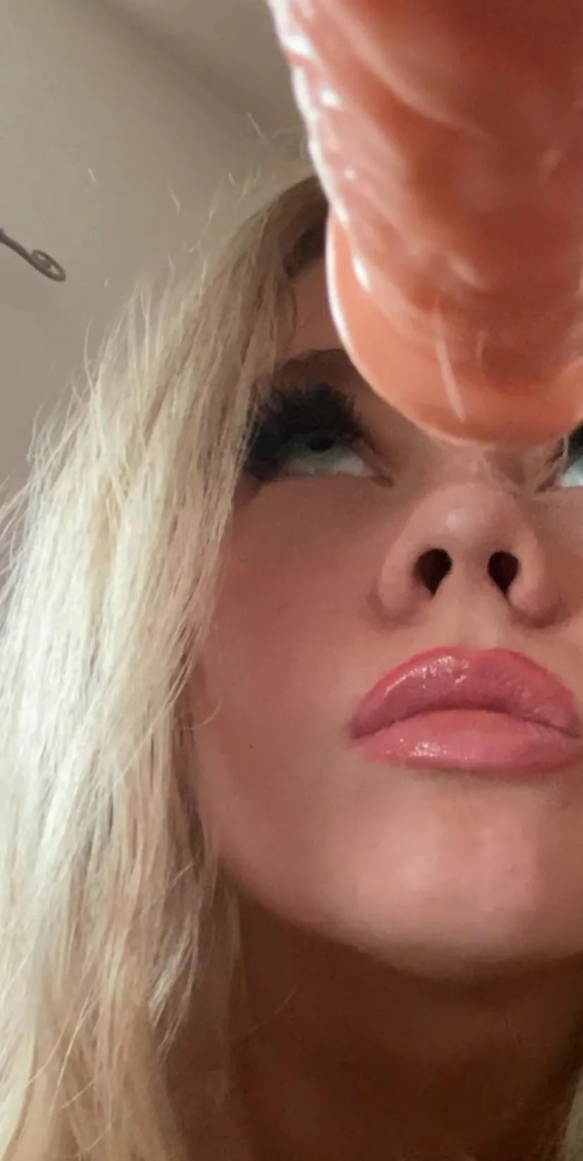 Ready to take it all