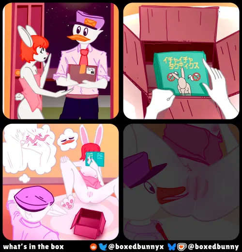 what's in the box [FM] (boxedbunny)