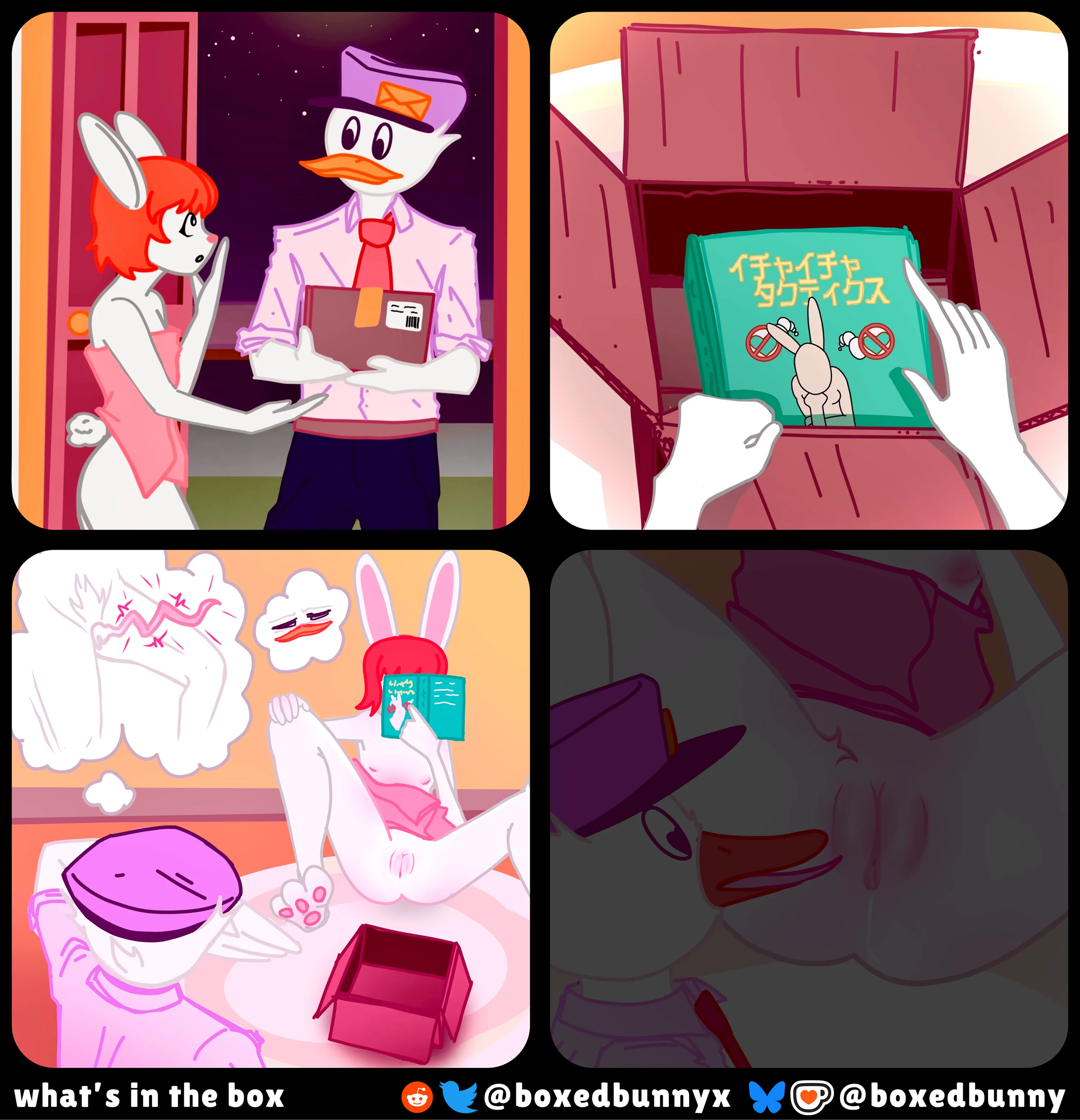 what's in the box [FM] (boxedbunny)