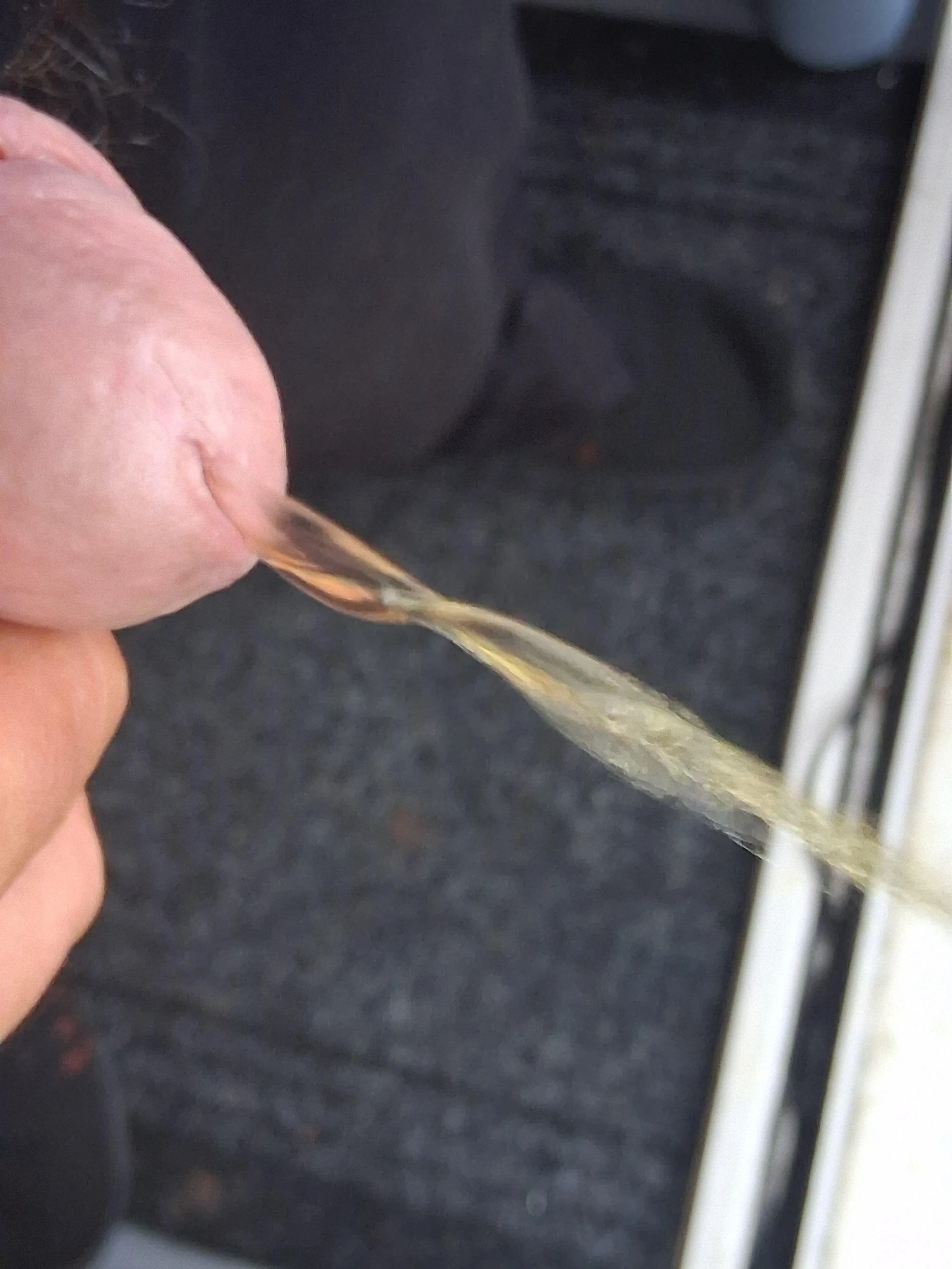 56 str8 . Power pissing