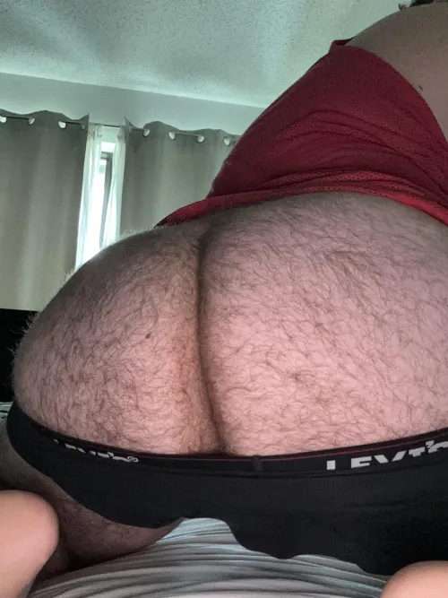 (23) would you eat my hairy chub ass ?🧸