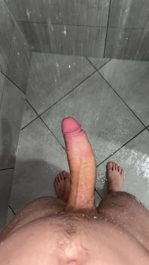 How big do you think it is?