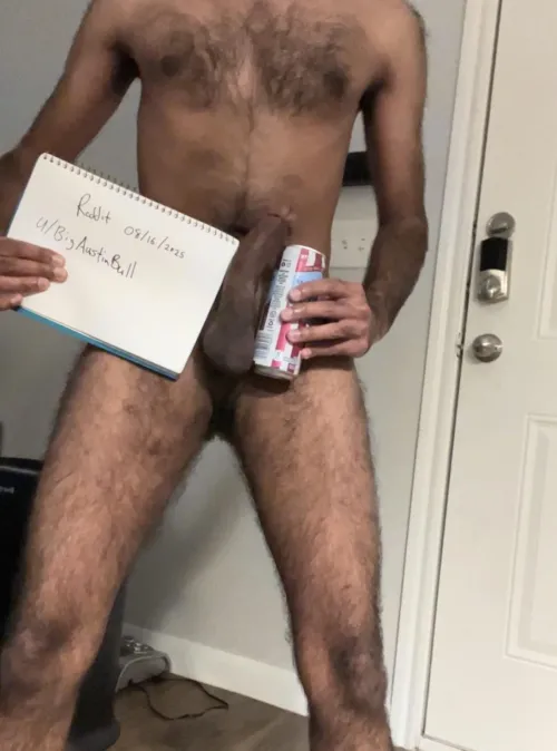 North austin bull available today