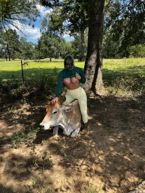 Two milk machines lol