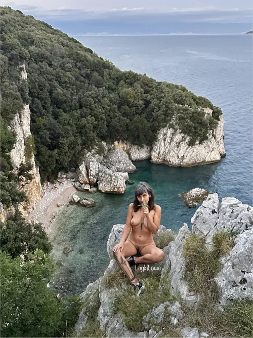 White sage above the hidden beach