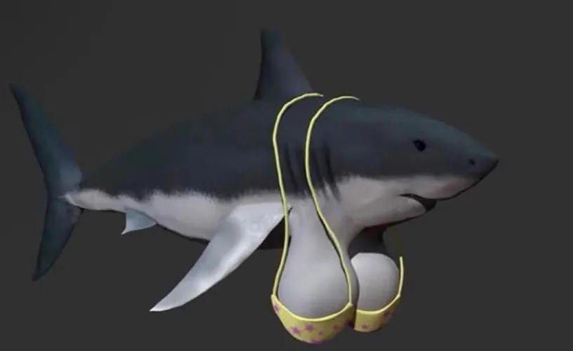 Ladies and gentlemen, I give you… shark tits