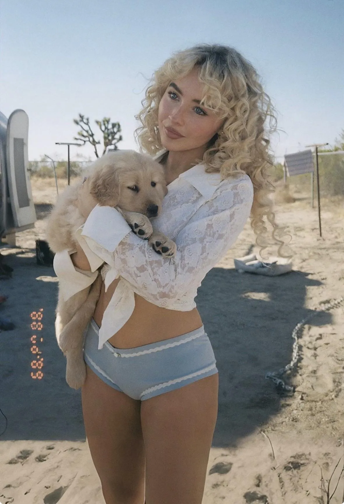 Wish I could swap places with that dog