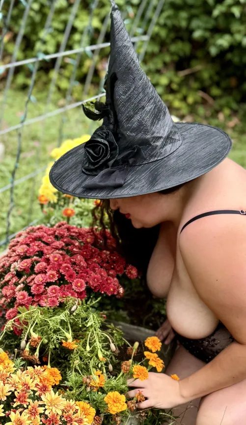 Nature said, set them free 😇🌸 #TittyTuesday