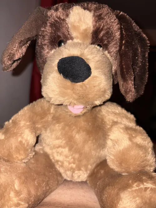 Newbie, need some help