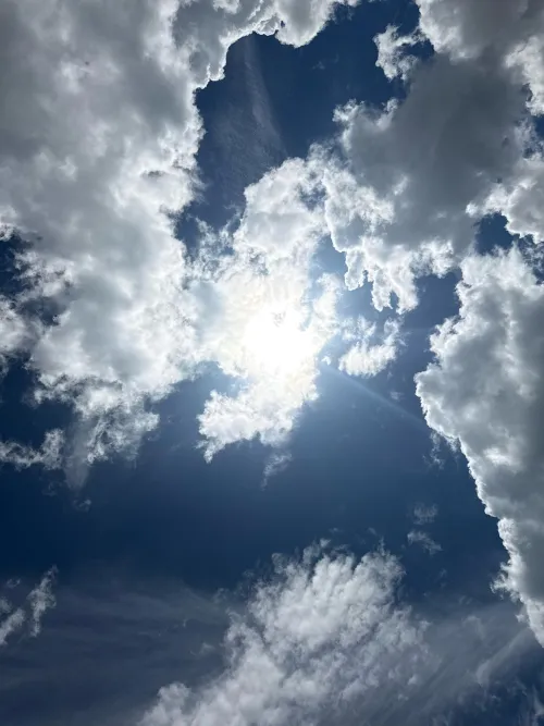 come today, its sunny here