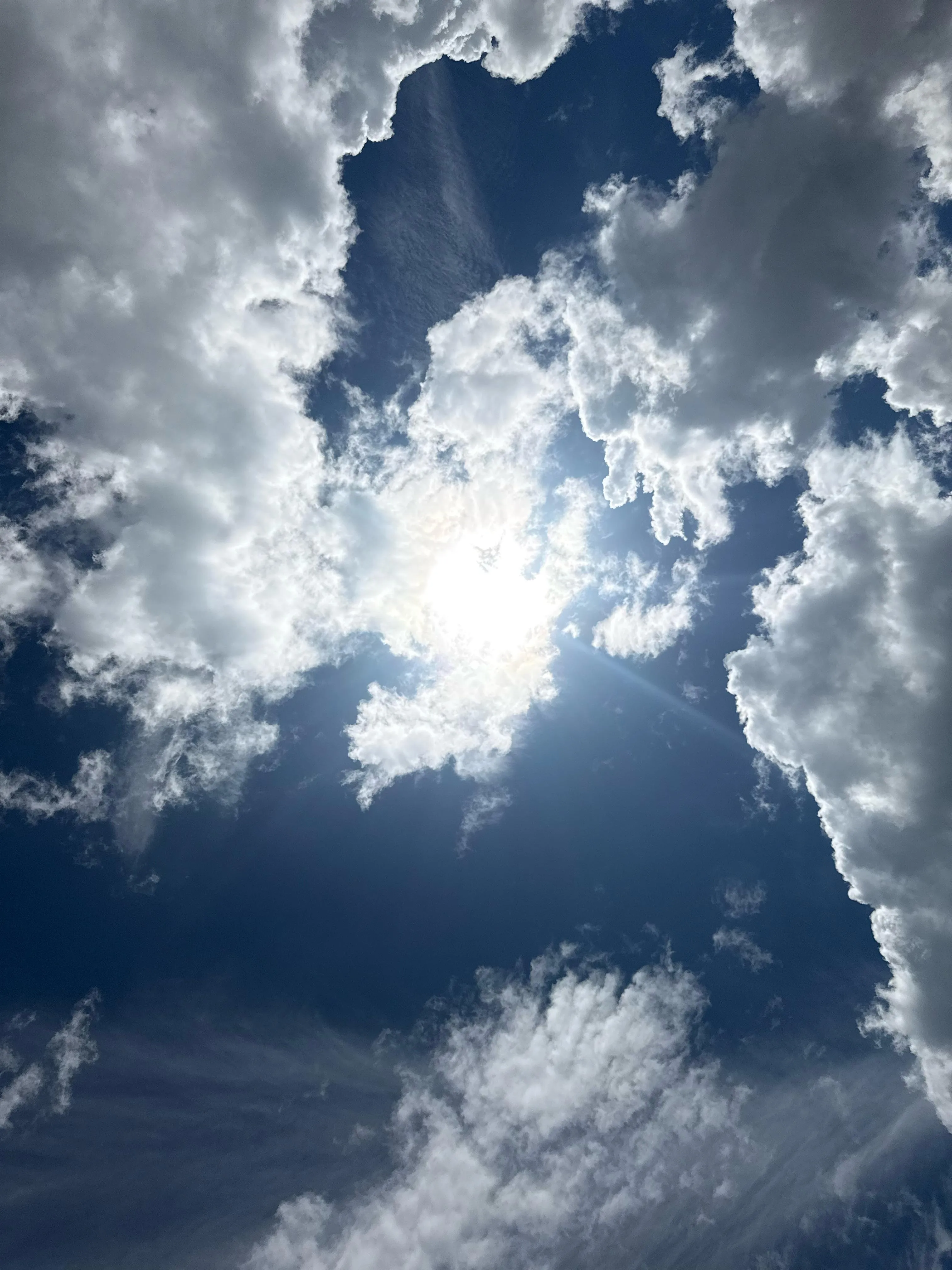 come today, its sunny here