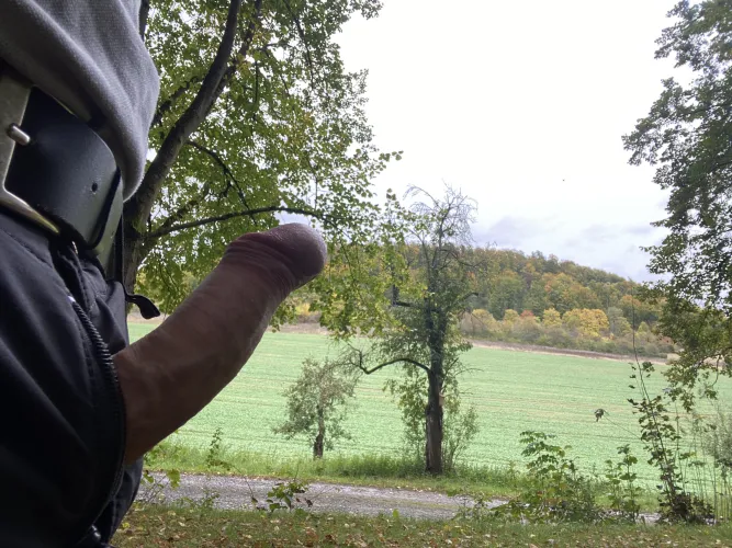 Geile Herbstimpressionen zum Wochenteiler🍆🍁🍁😊