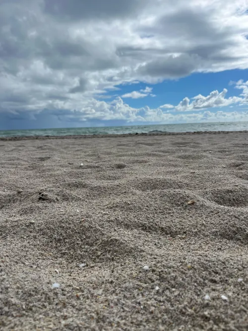 Just hanging out enjoying the breeze