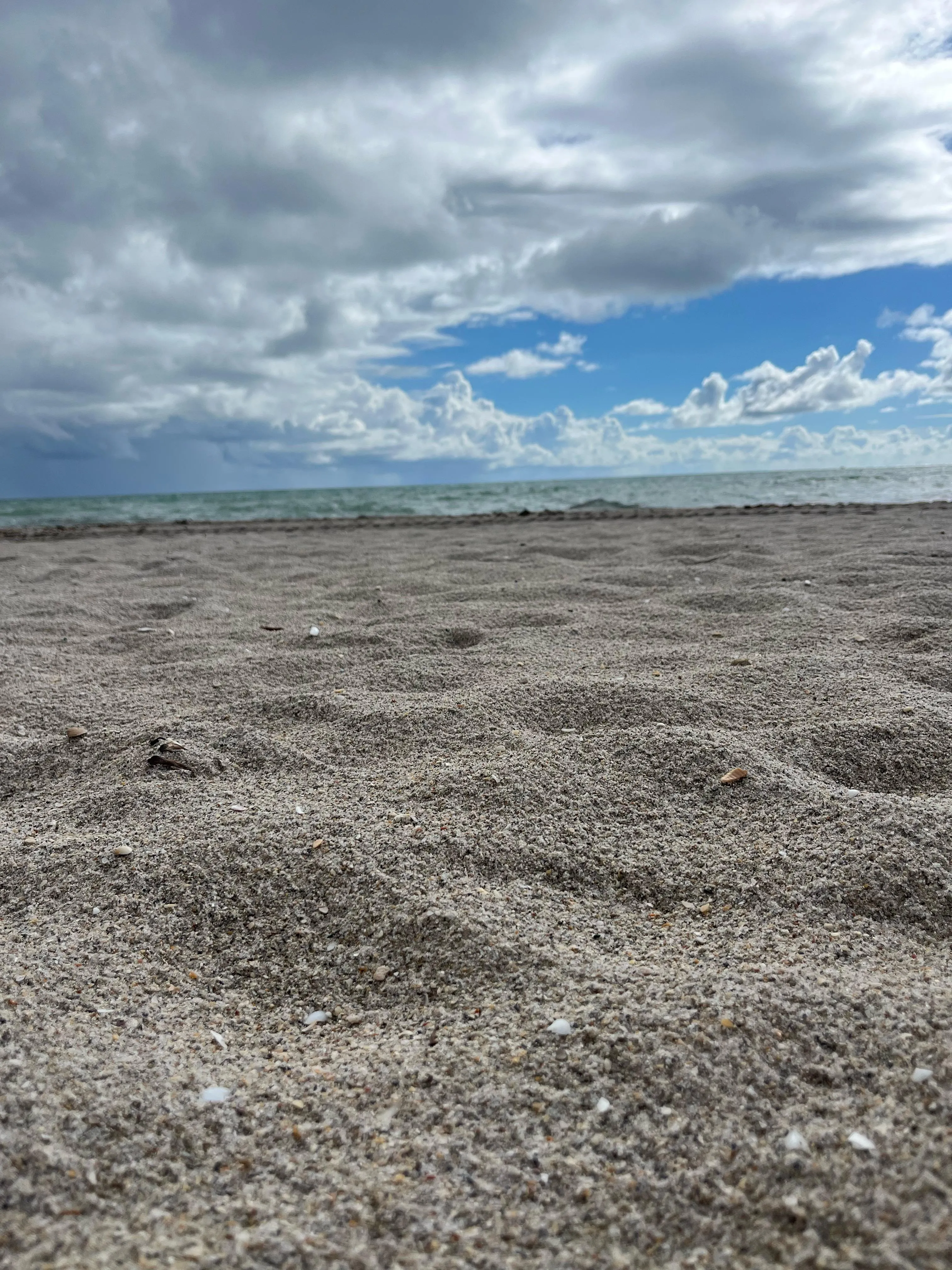 Just hanging out enjoying the breeze