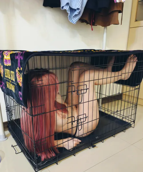 This cage feels too small for me… right?