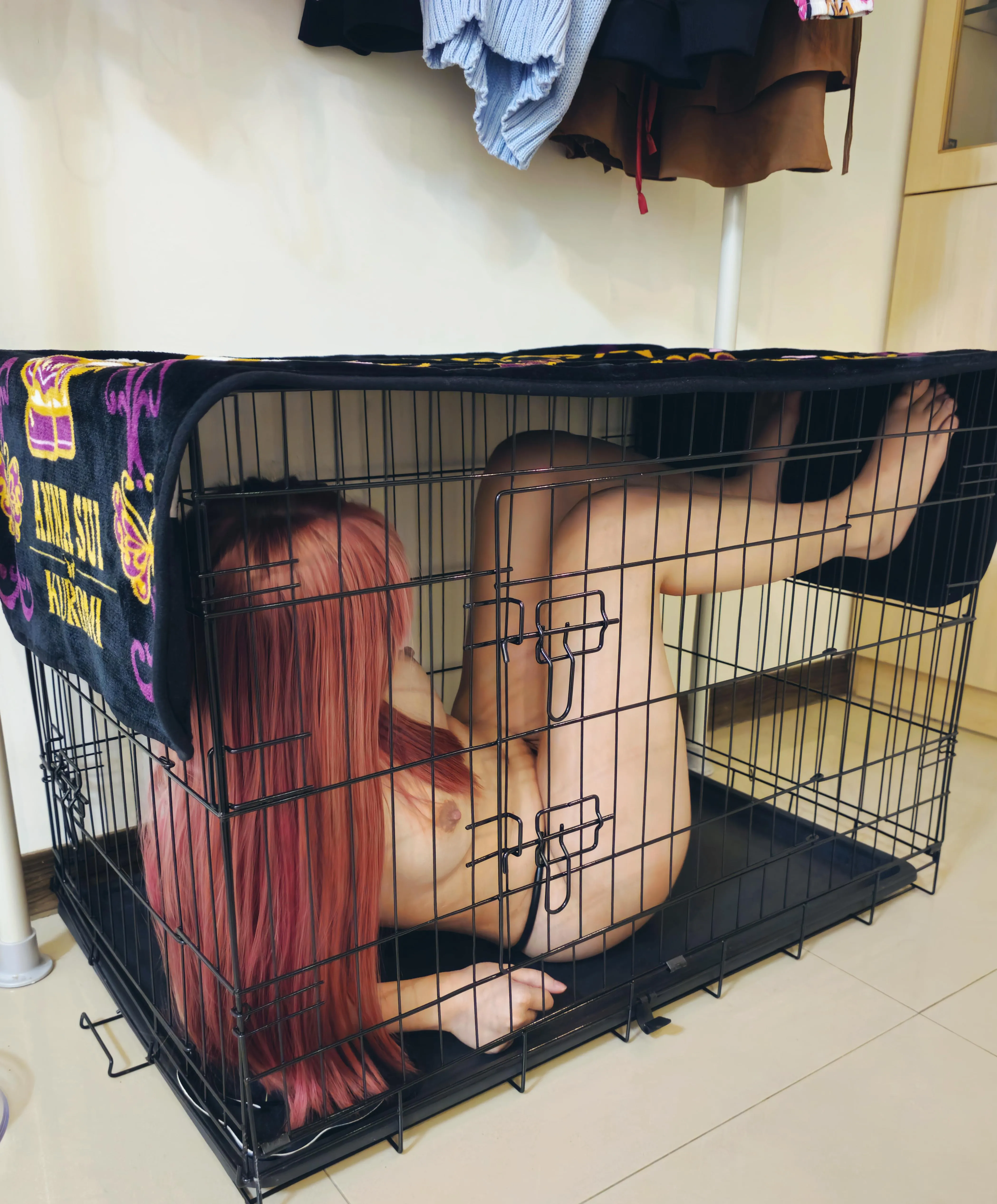 This cage feels too small for me… right?