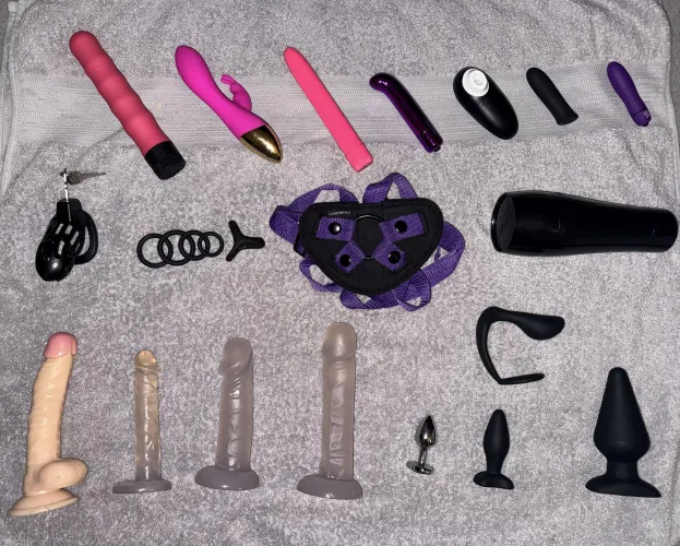 What should the next addition to my collection be?