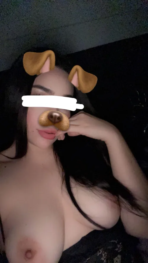 Looking for my dogs🐶