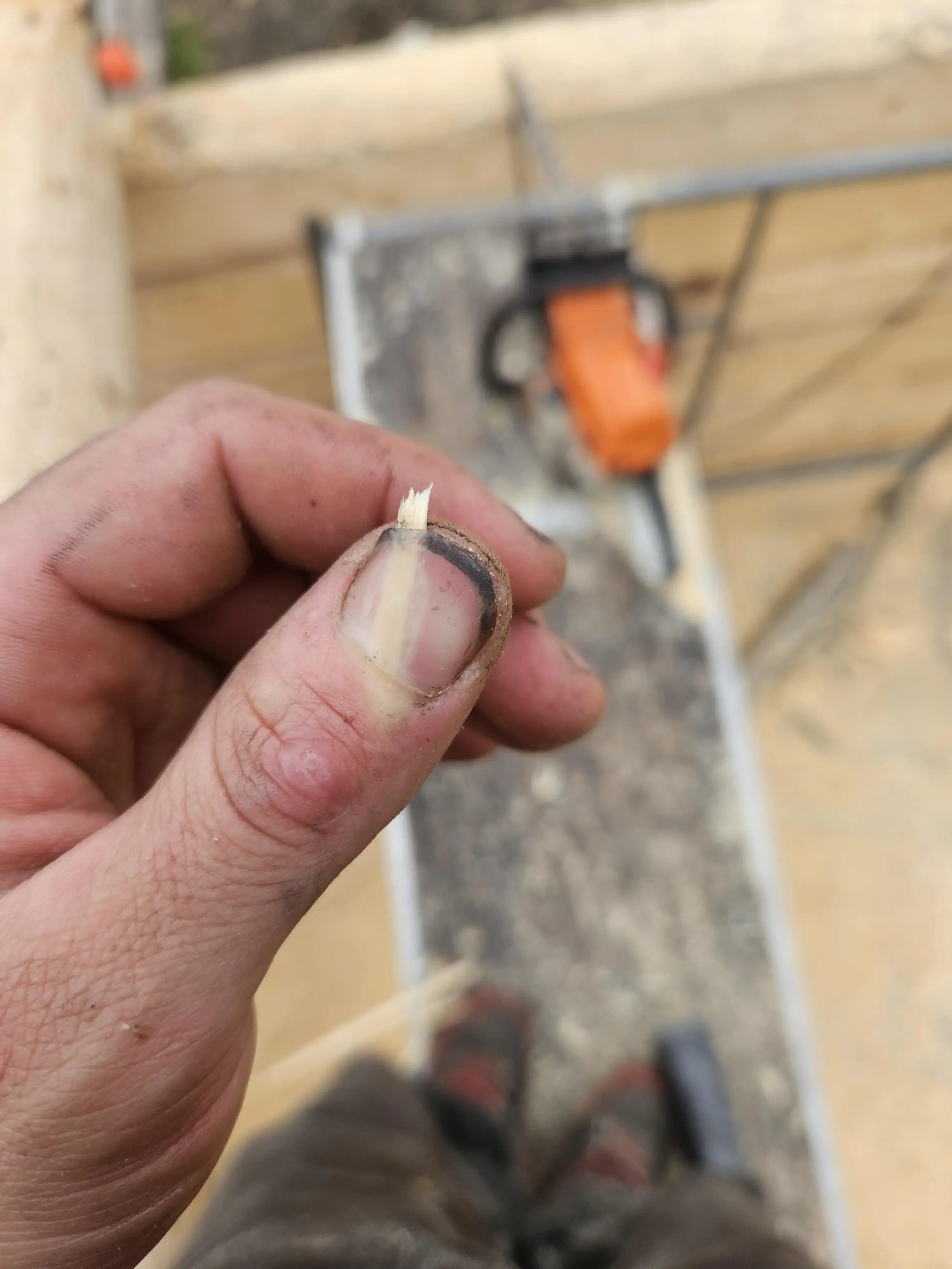 gnarly looking splinter