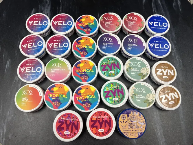 Shipment came in with some favorites plus new zyn flavors