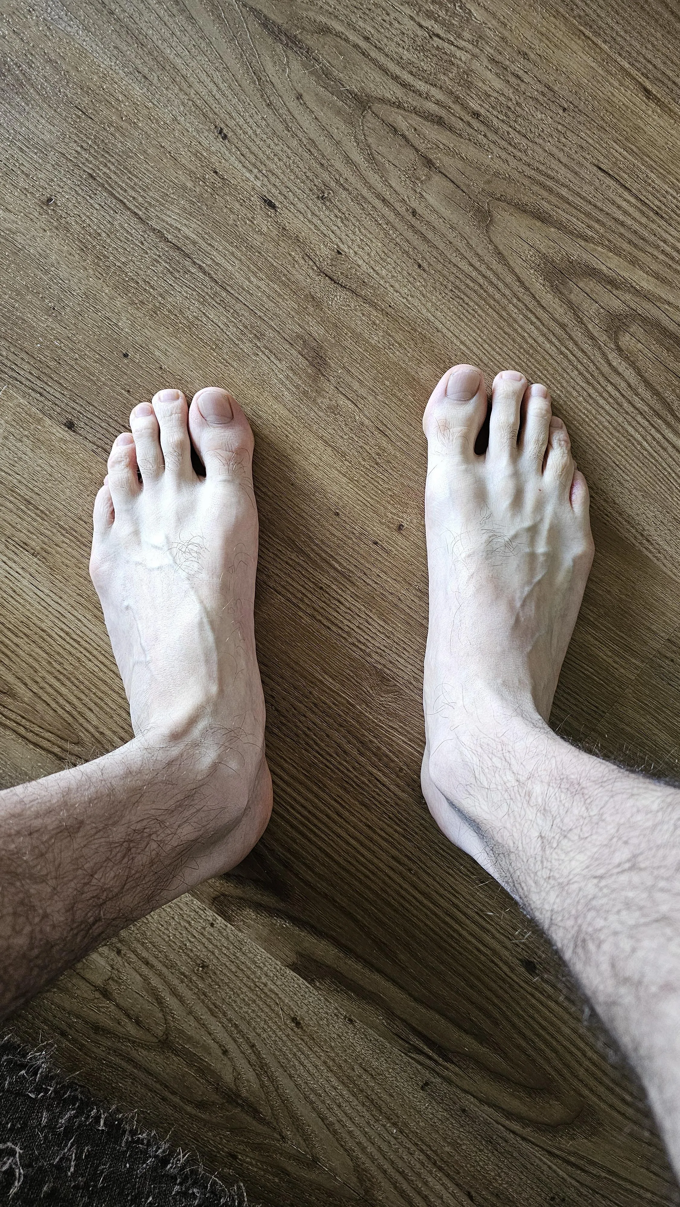 Any fans for my feet?