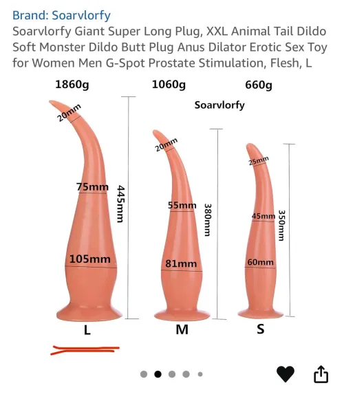 Are these dimensions still okay for an advanced user? size L