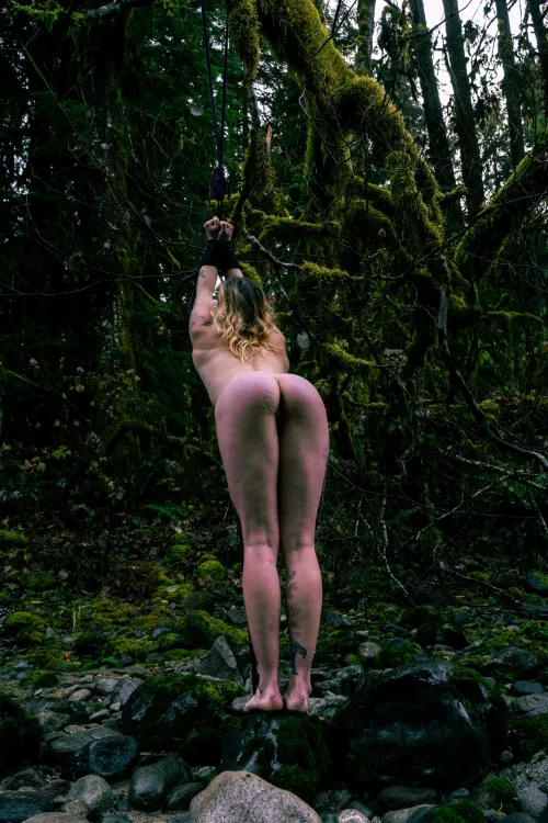 Free to use in the woods