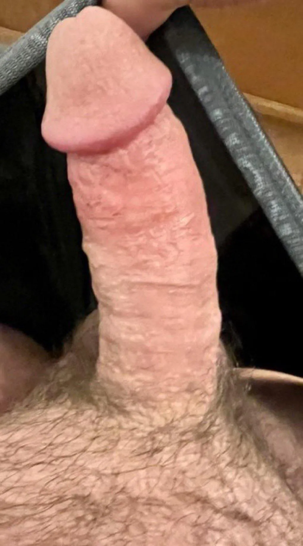 Take a peek! (50)