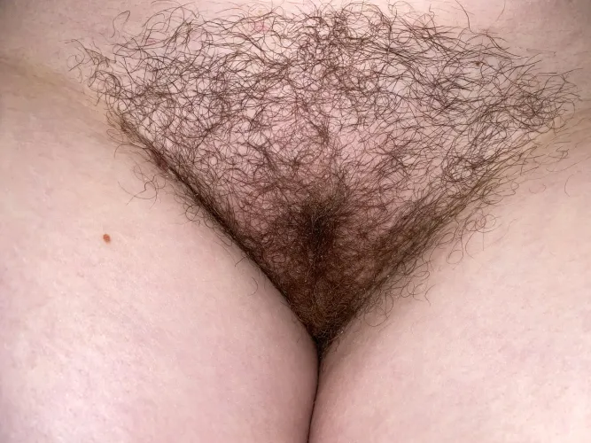 I'm already without panties. Are you ready to work your tongue?