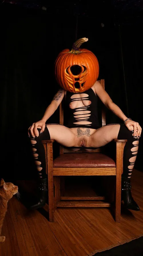 Two big pumpkins and a predator