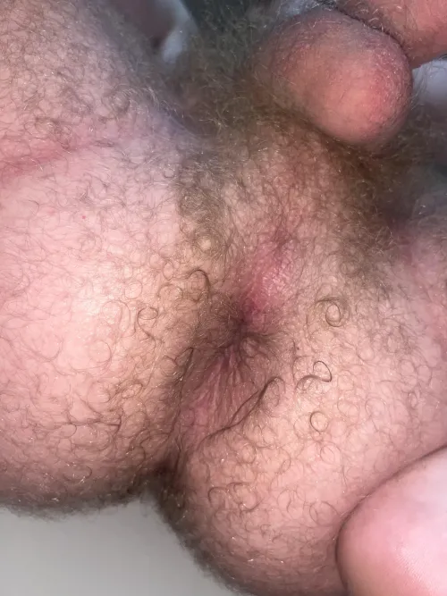 Who wants to sniff my sweaty hairy ass?