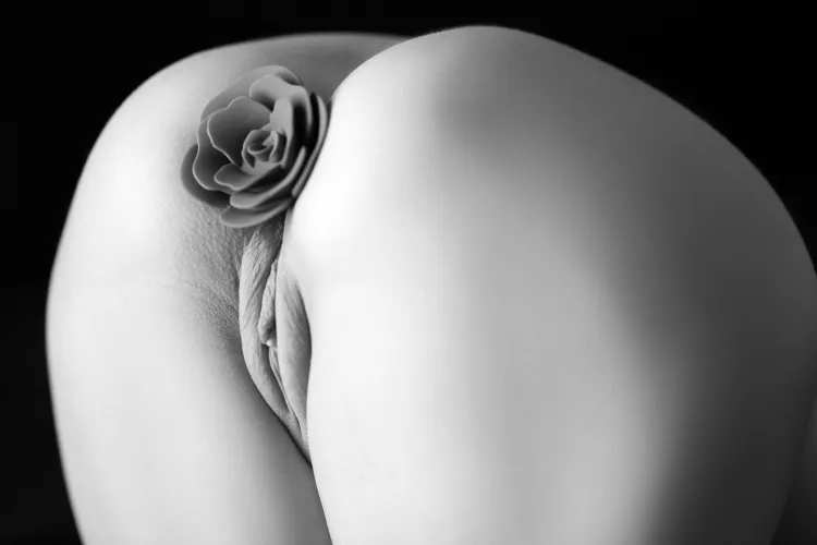 Flowers turn to greet the sun