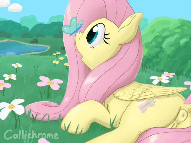 Just an ordinary cute picture of Fluttershy (Callichrome)