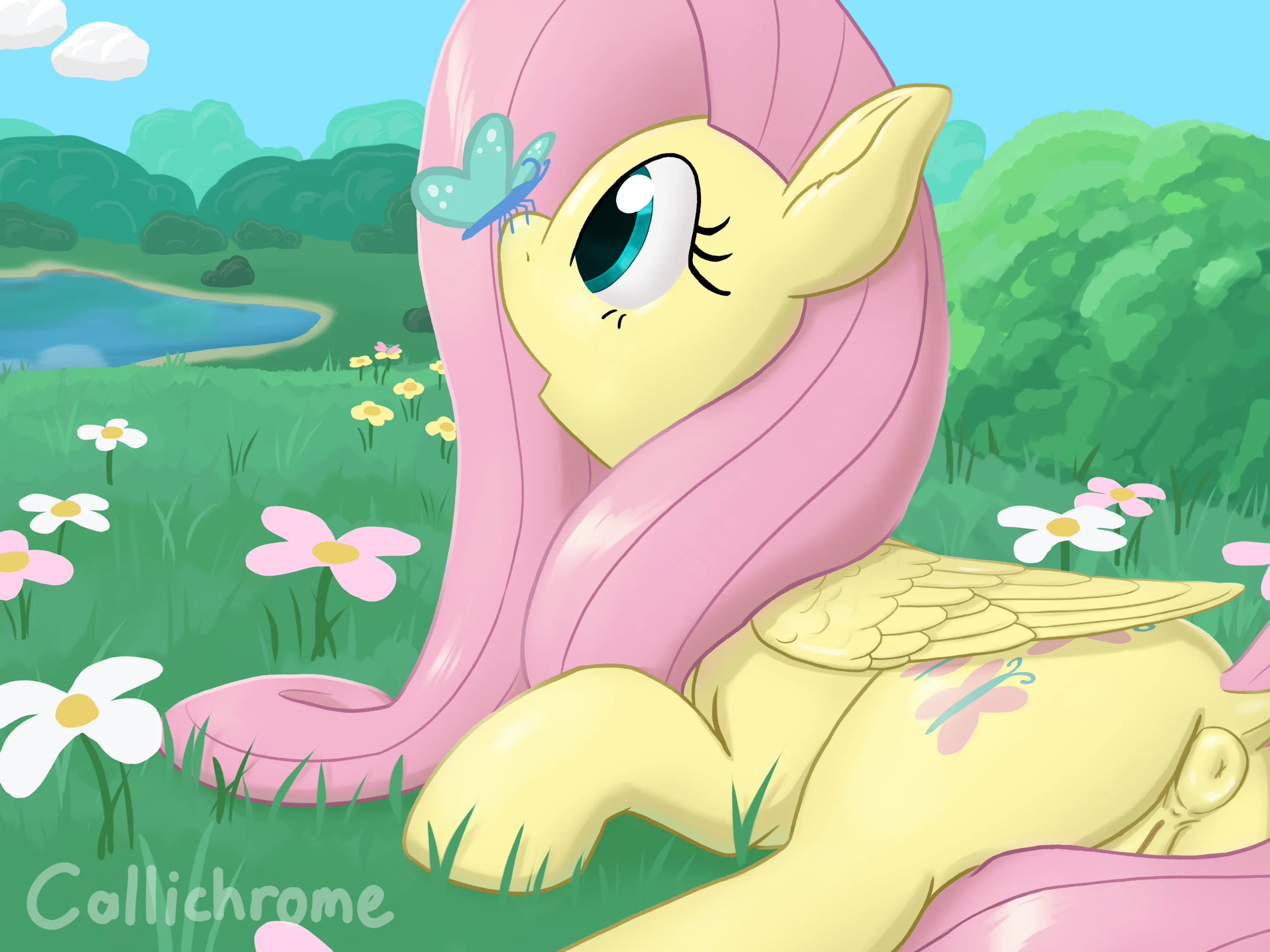 Just an ordinary cute picture of Fluttershy (Callichrome)