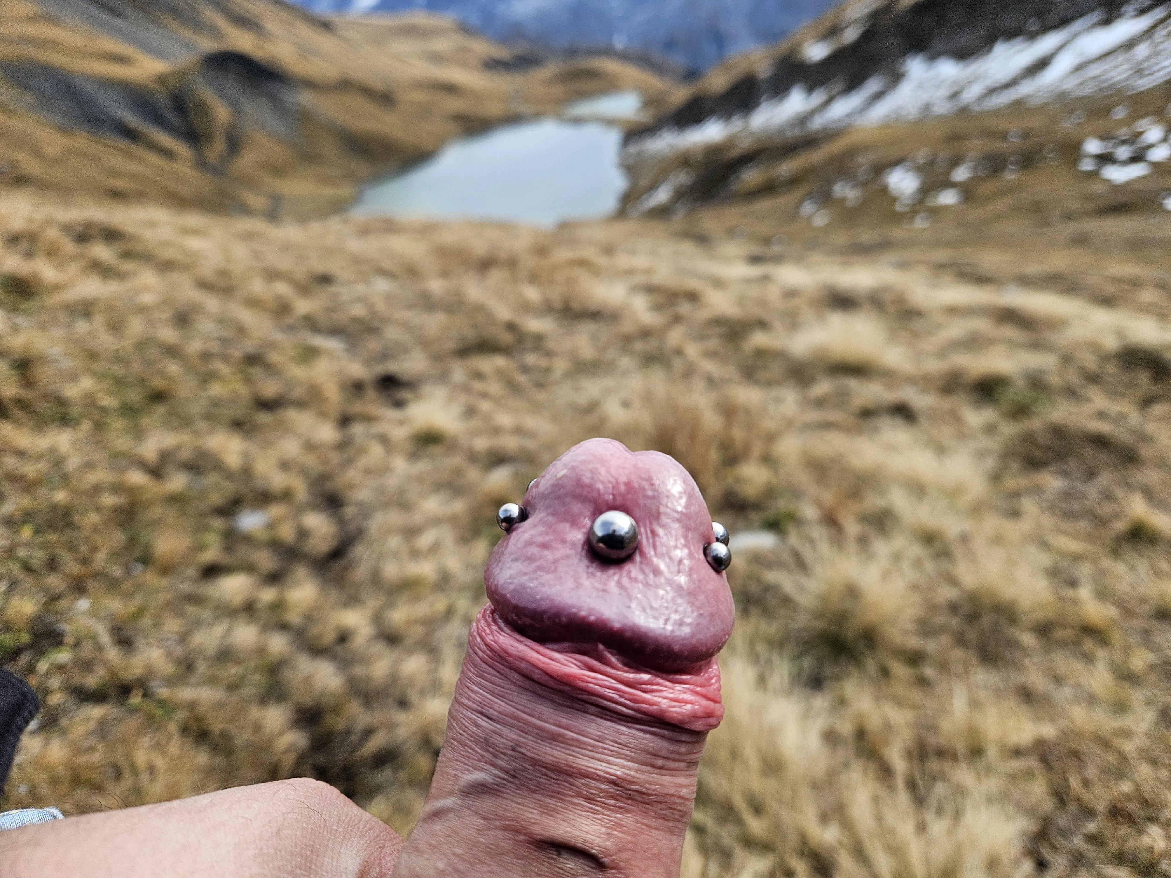 My pierced cock out in the Suisse alpines