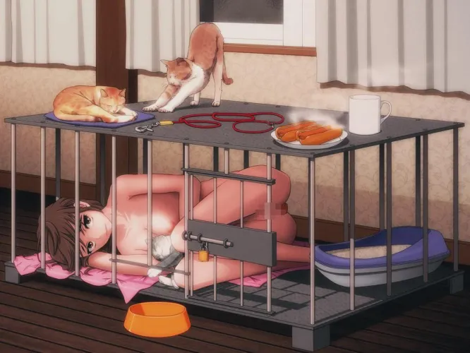 The real pet is inside