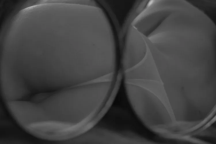 Up close and personal