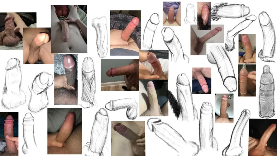 All the cocks I drew today! Might do this again if there's good enough reception.