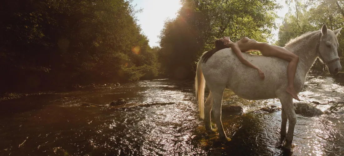 Echoes of the Summer