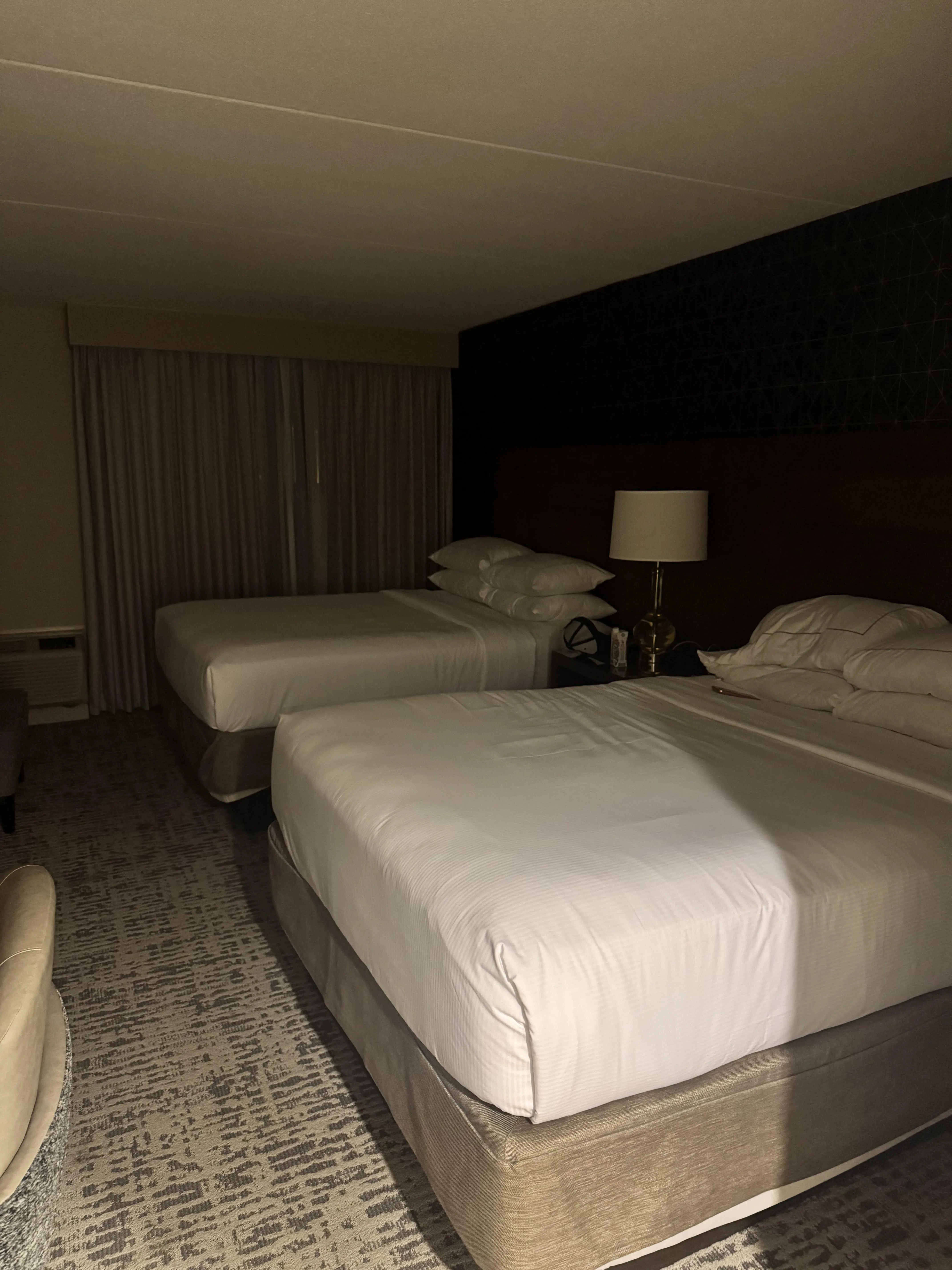 Just checked into my hotel room