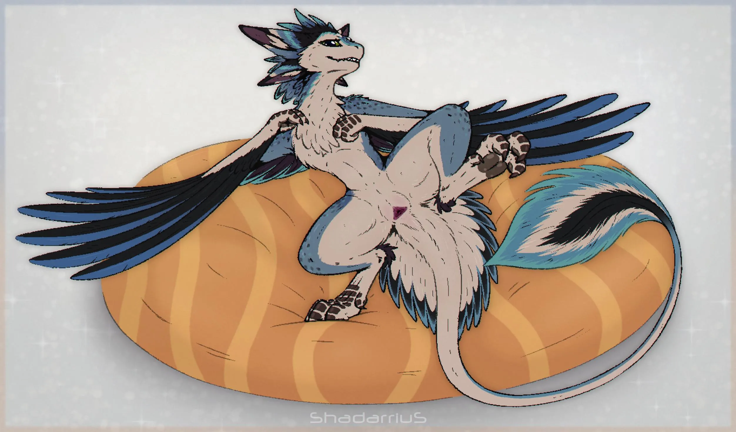 Taluki (shadarrius) [F]