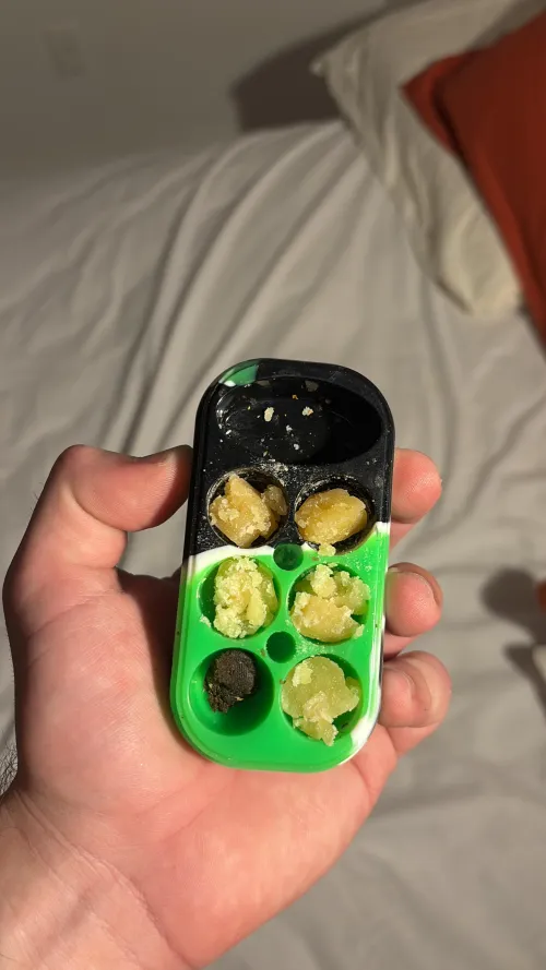 Tema da Semana: 🍯