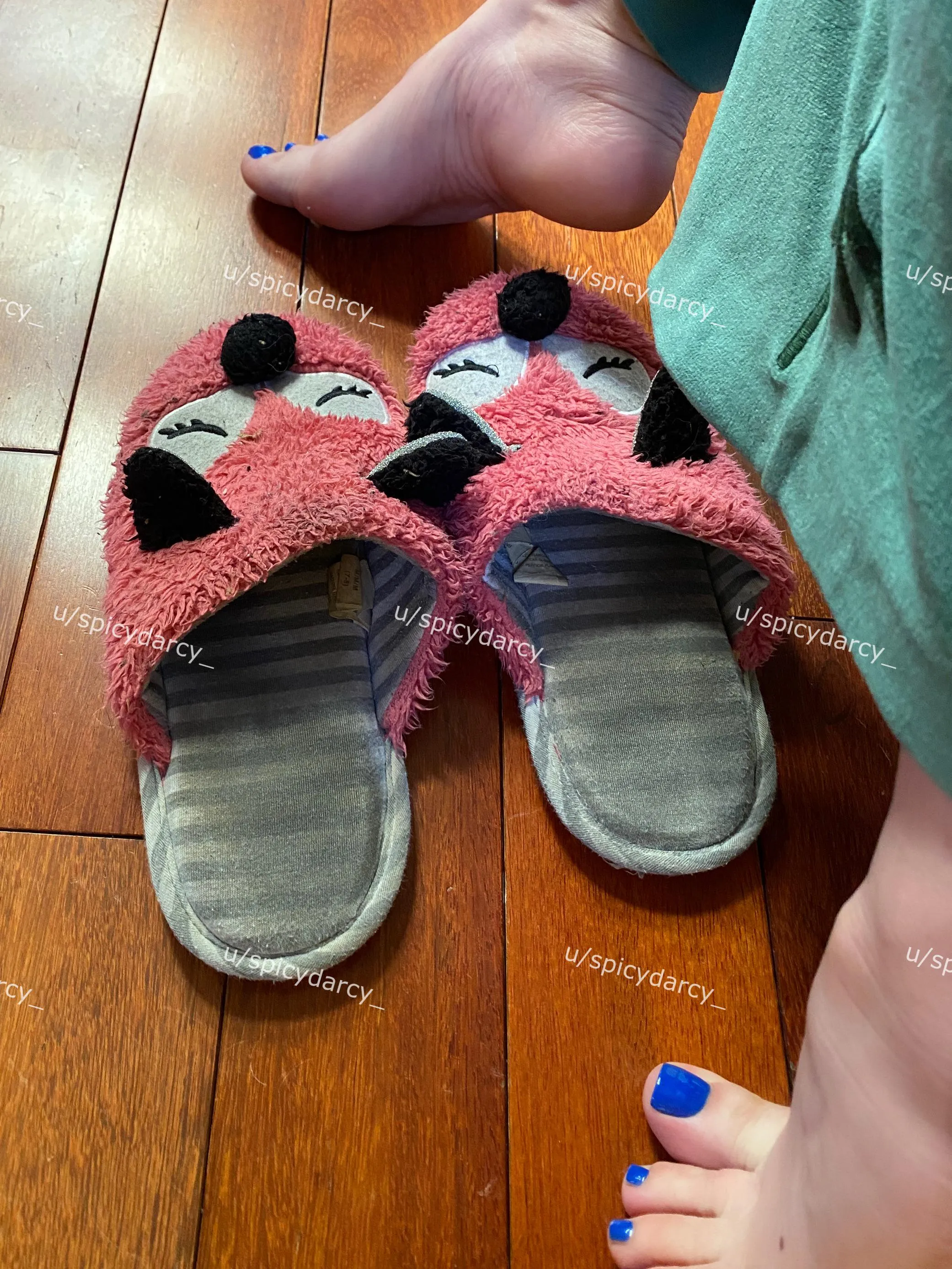 years of sweat in these slippers, yumm!!! [selling] [USA] [AV required]