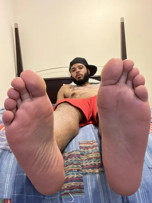 I have videos for sale.