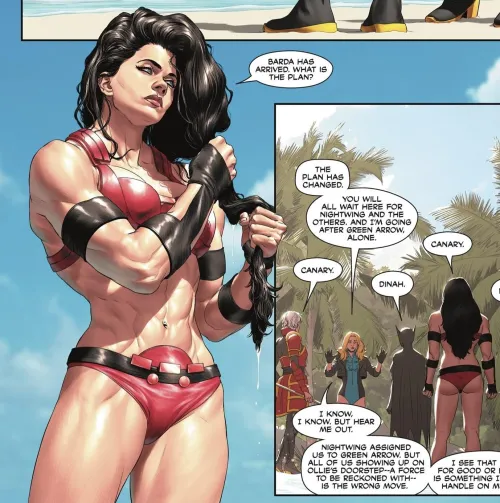 Muscle mommy Big Barda [Batman vol. 3 #152]