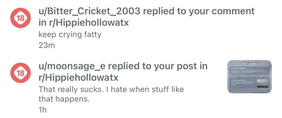 Can the Reddit page block someone for commenting something like this?