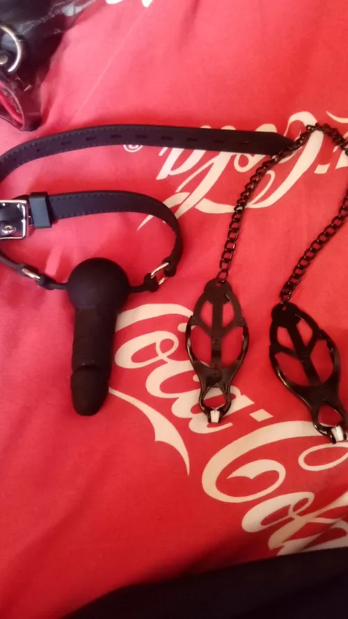 Kinky sissy training.